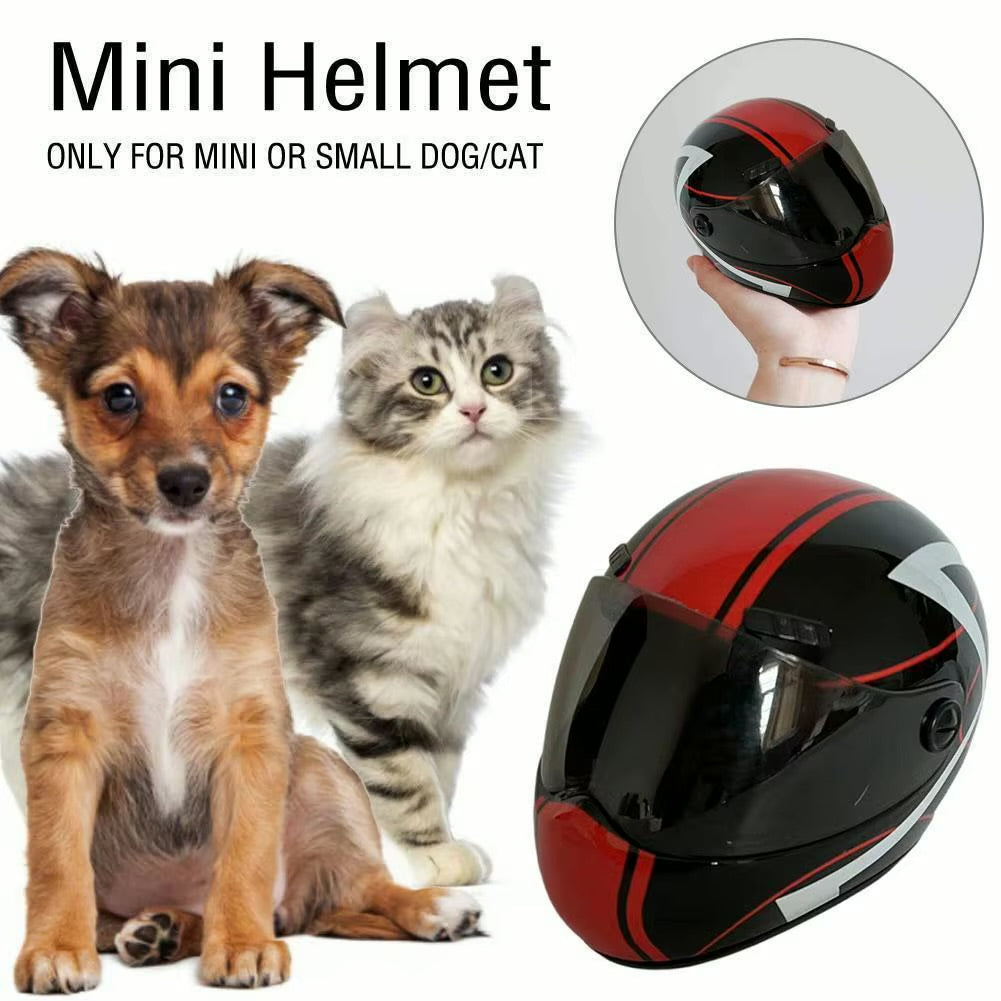 Motorcycle Helmet For Cats