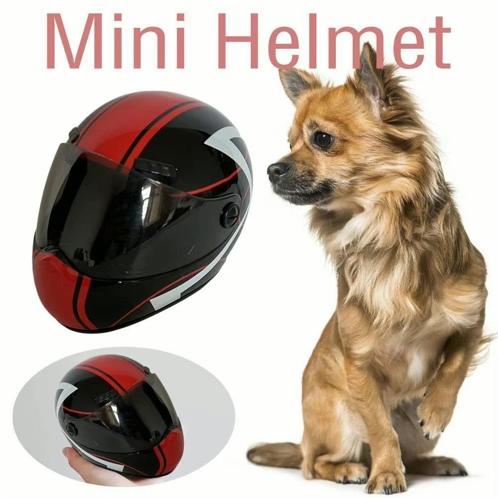 Motorcycle Helmet For Cats