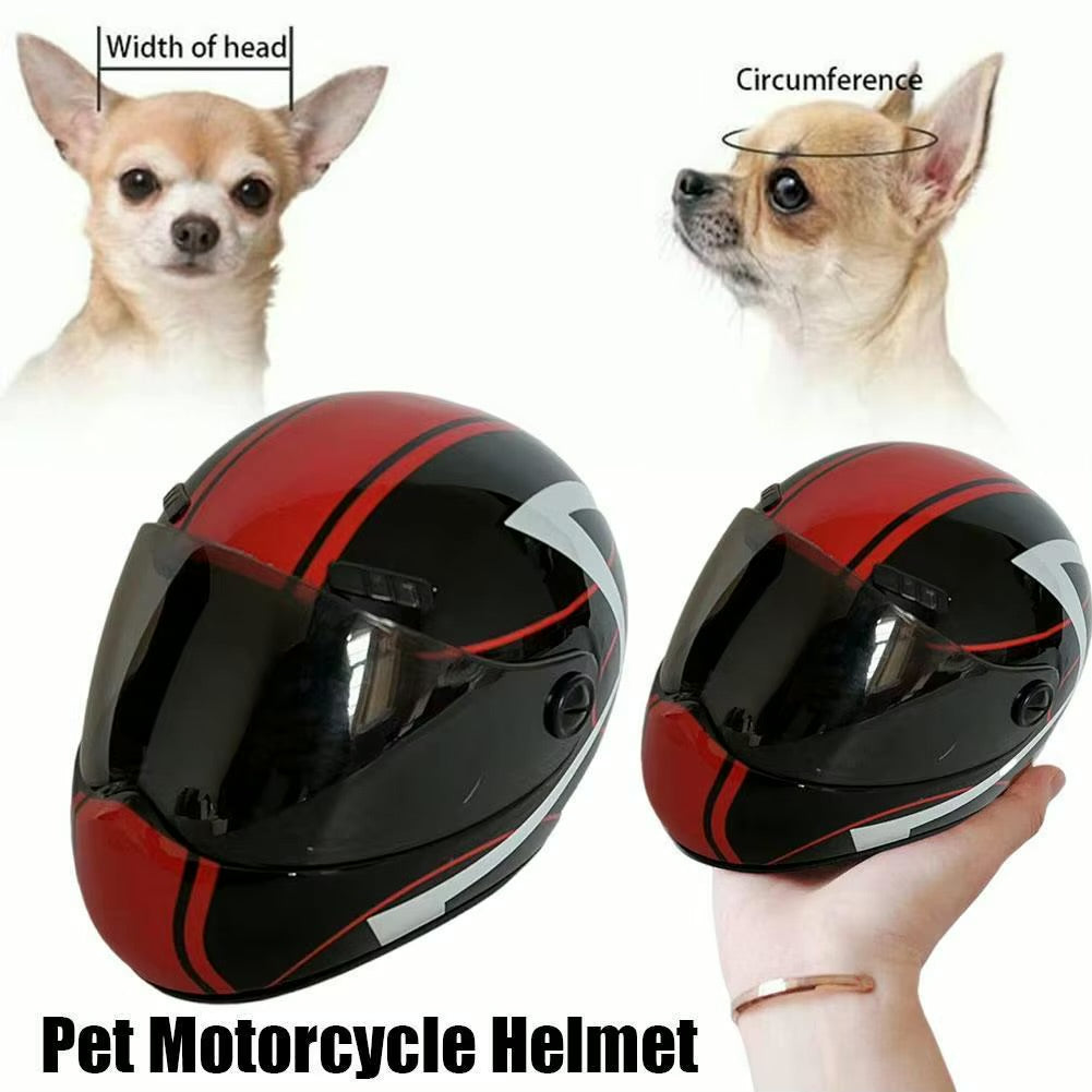 Motorcycle Helmet For Cats