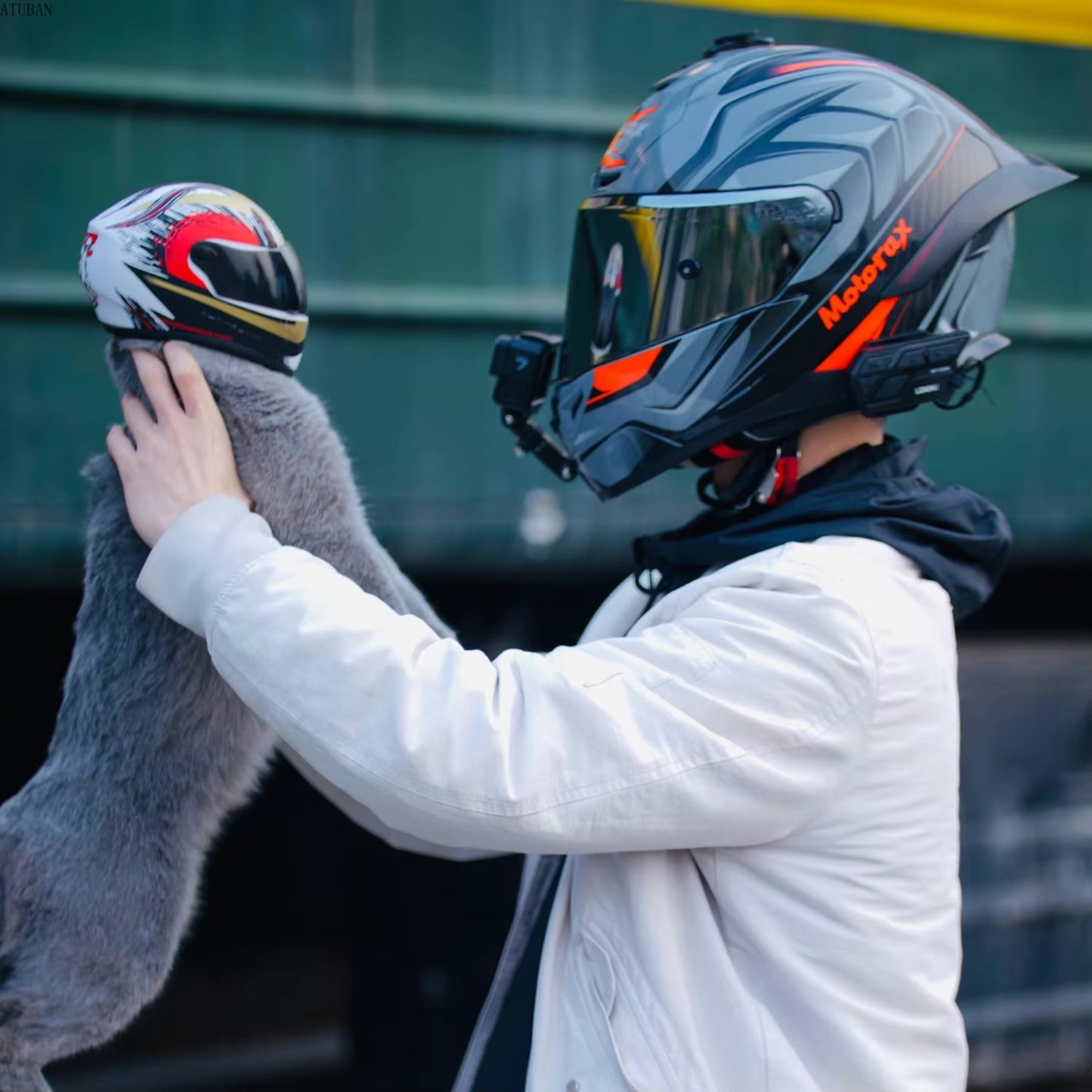 Motorcycle Helmet For Cats