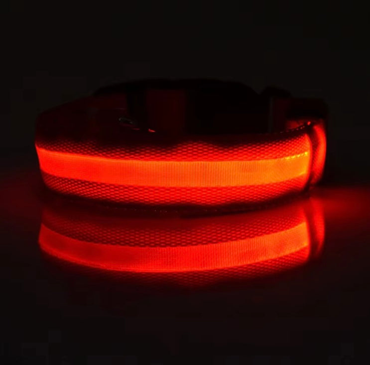 Glowing Collar For Dogs