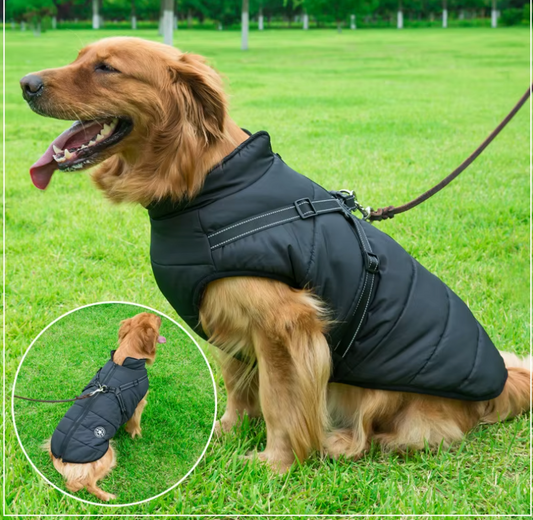 Waterproof Dog Jacket