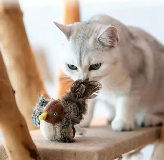 Funny Bird Toy For Cats And Dogs