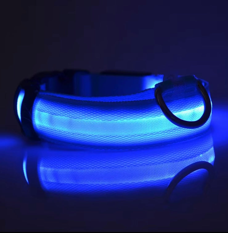 Glowing Collar For Dogs