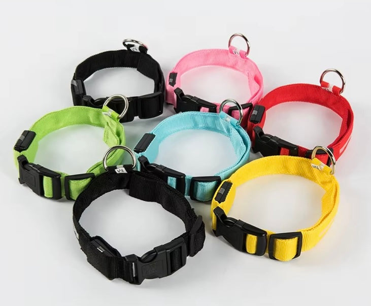 Glowing Collar For Dogs