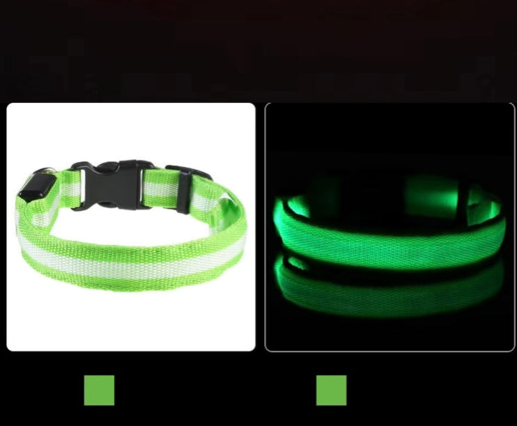 Glowing Collar For Dogs