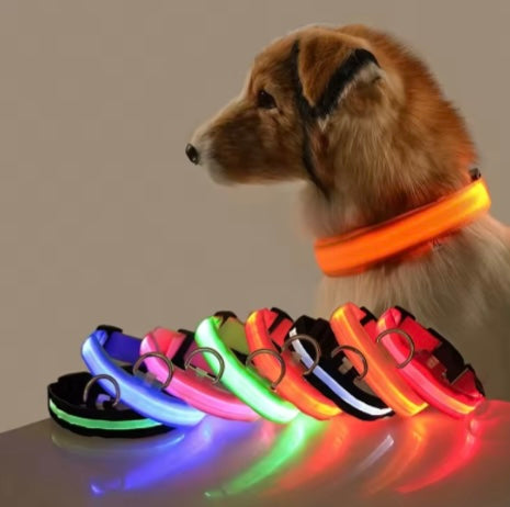 Glowing Collar For Dogs