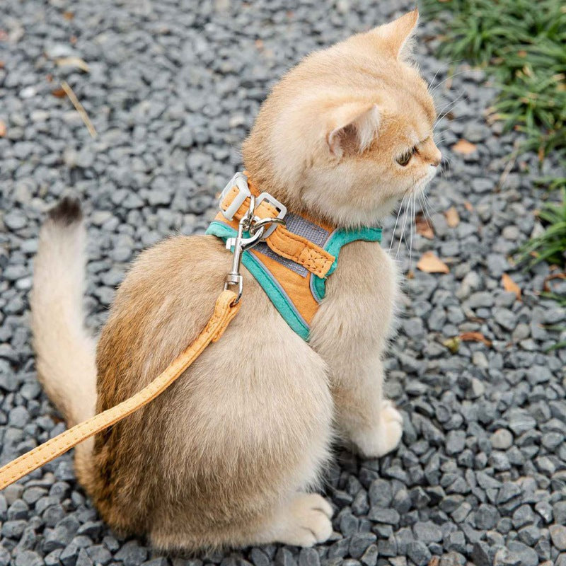 Cat Vest And Harness