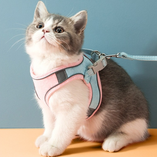 Cat Vest And Harness